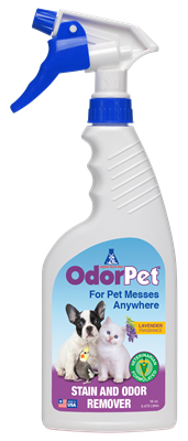 odorpet best pet stain remover