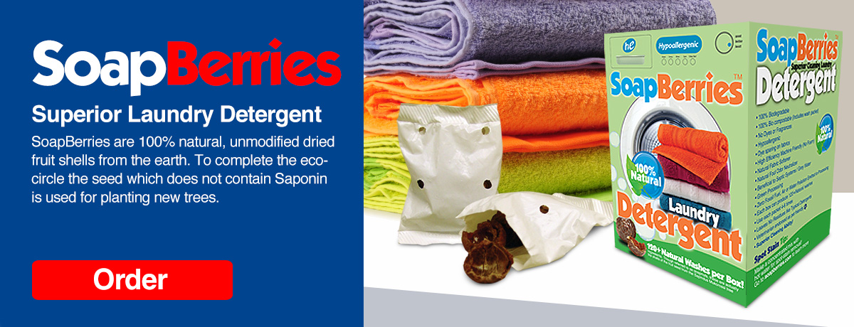 SoapBerries Laundry Detergent