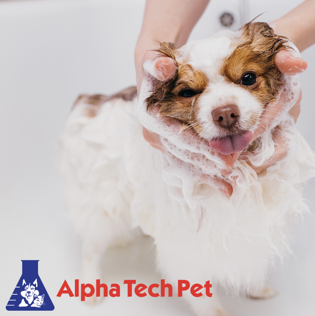 Dog shampoo to reduce allergens hotsell