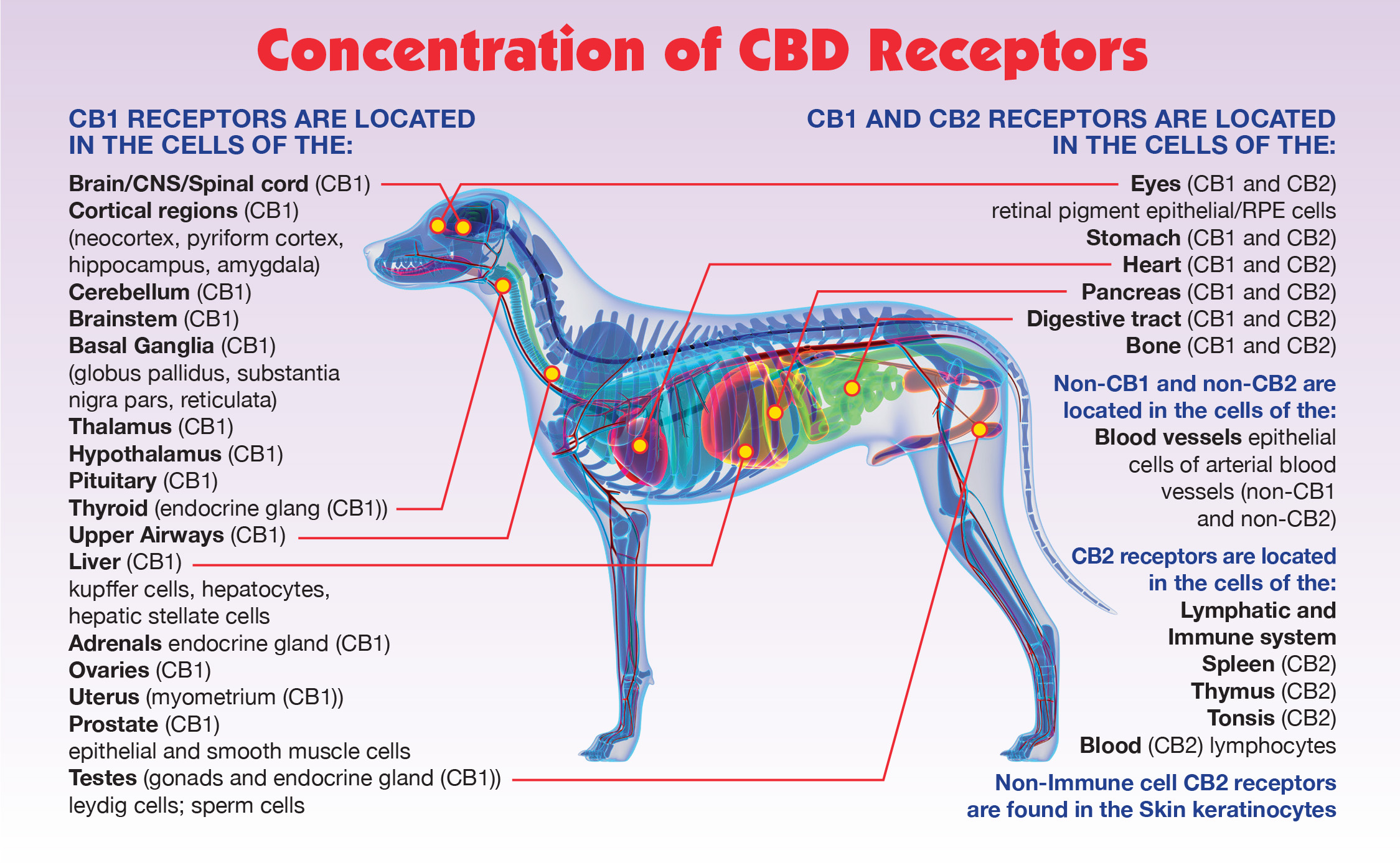 Concentration of CBD Receptors