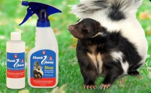 Skunk Away odor remover