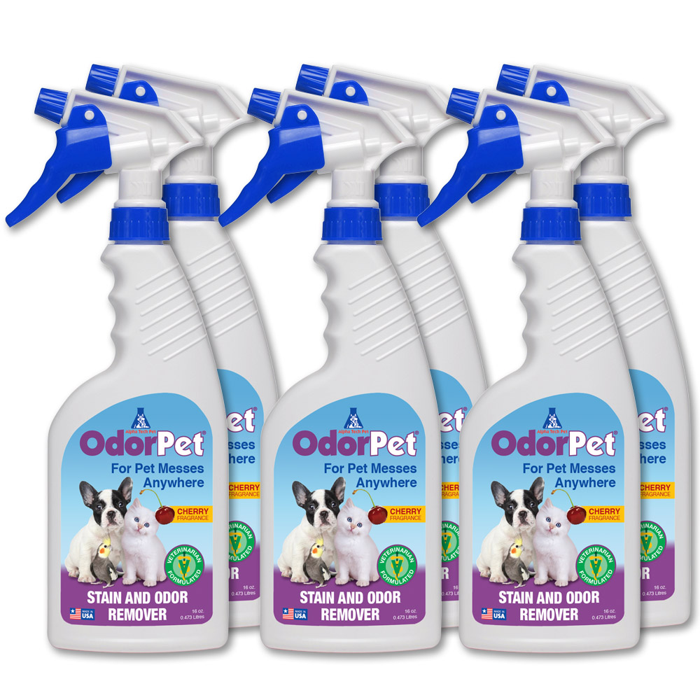 Odorpet Stain And Pet Odor Remover Pet Mess Eliminator