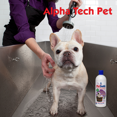 Keep Your Pets Clean With PetSuds Probiotic Dog Shampoo
