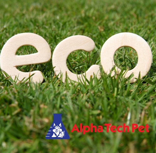 What Makes Eco-Friendly Products Effective?