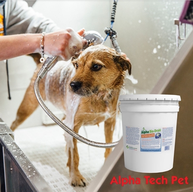 Animal Care Facility Sewage System Cleaner - Bio-Drain