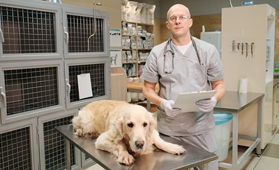 How to Properly Clean and Sanitize Veterinary Equipment