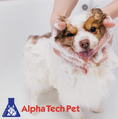 The Benefits of Regular Pet Grooming for Reducing Allergens