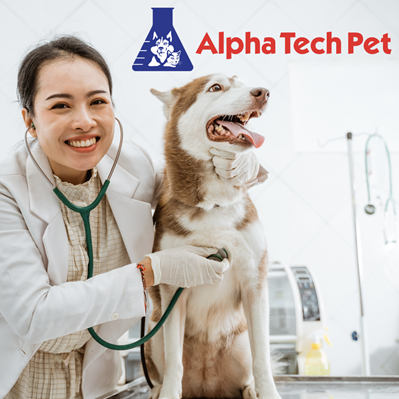 Managing Odors in Veterinary Spaces: Tips and Products for Effective Odor Control