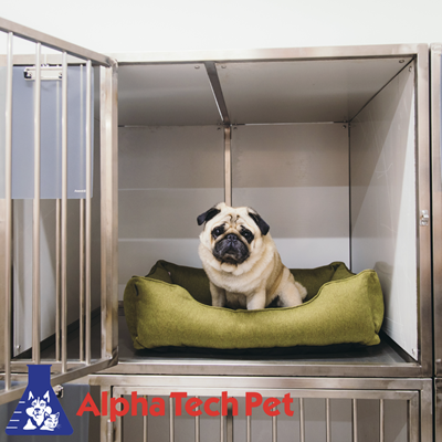 Cleaning and Disinfecting Cages and Kennels: A Comprehensive Guide