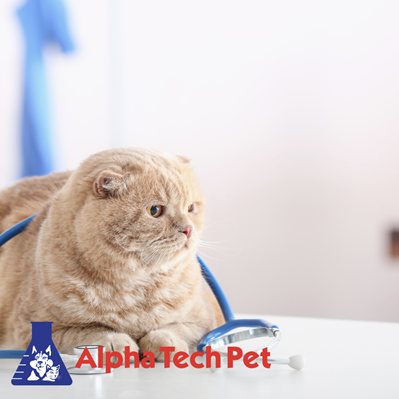 Mistakes to Avoid When Cleaning Veterinary Facilities