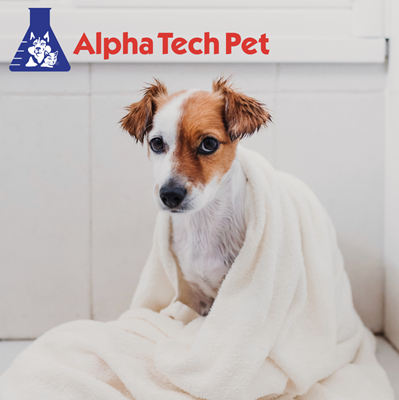 Best Practices for Washing and Maintaining Pet Grooming Towels