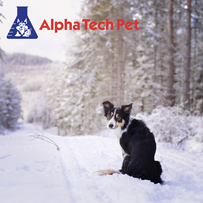 Winter Kennel Cleaning Tips: Dealing with Mud and Snow