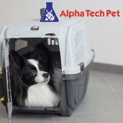 The Link Between Kennel Cleanliness and Customer Satisfaction