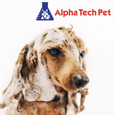 The Role of Grooming in Pet Health: Skin and Coat Care